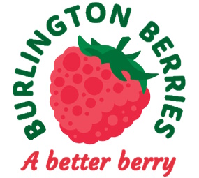 Burlington logo